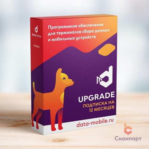 DataMobile Upgrade – подписка на 12 месяцев